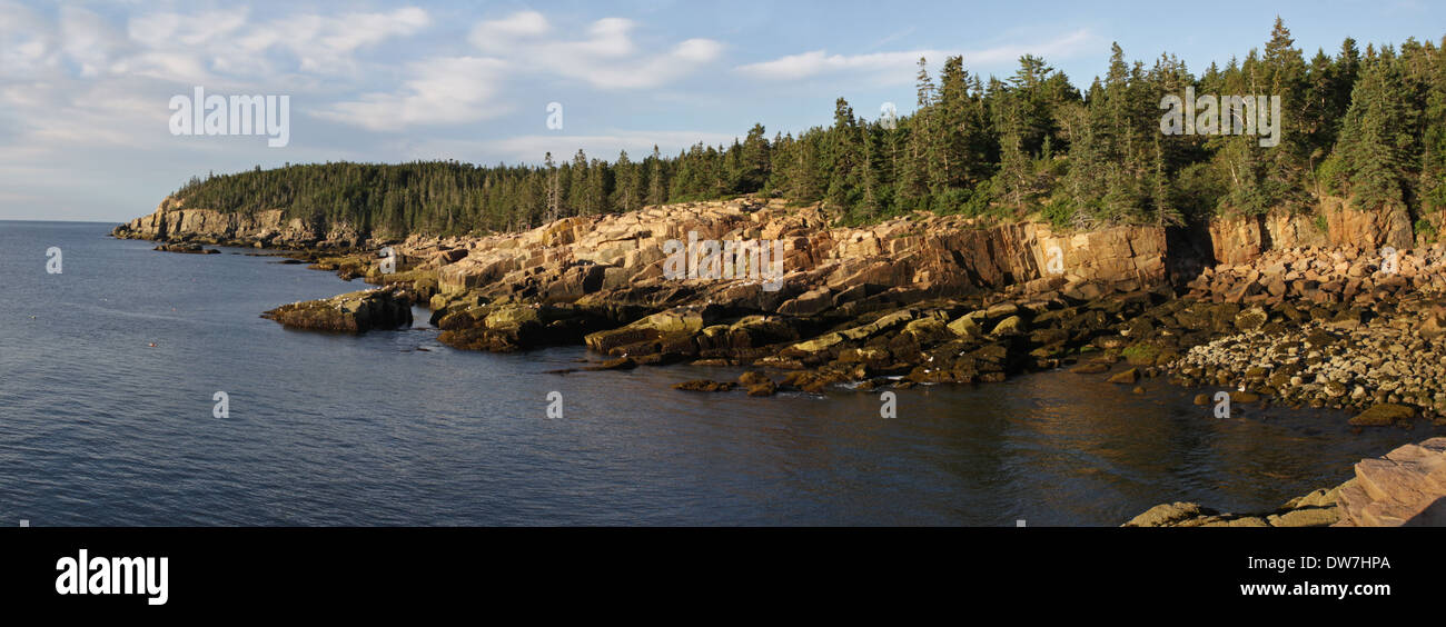 Otter Cliffs Alba Panorama Foto Stock