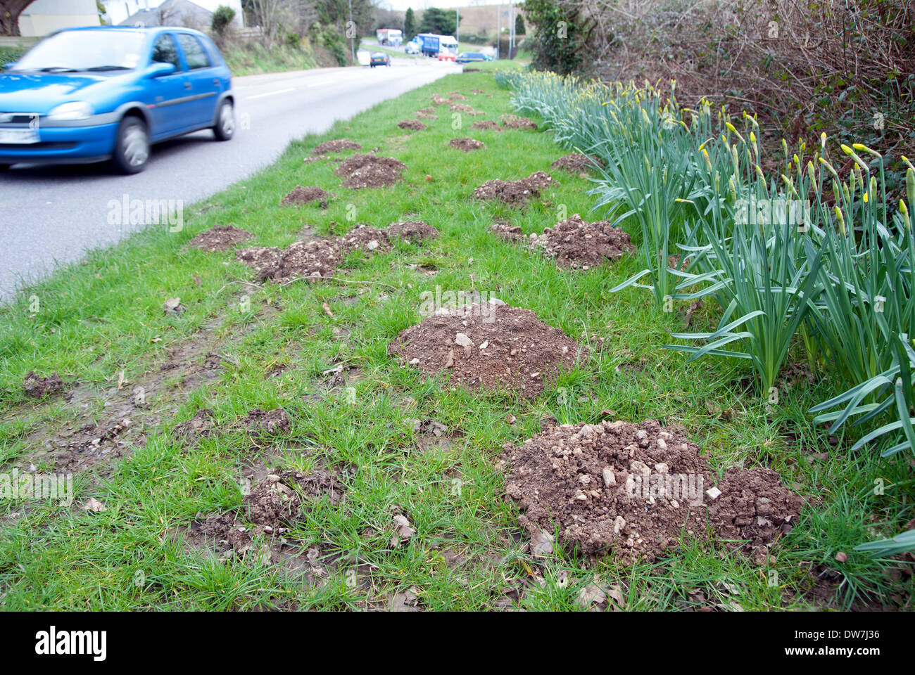 Mole colline lungo la strada Foto Stock
