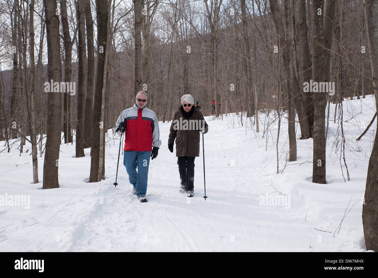 In inverno gli escursionisti a piedi lungo una coperta di neve il sentiero sul Monte Greylock, Adams, MA. Foto Stock