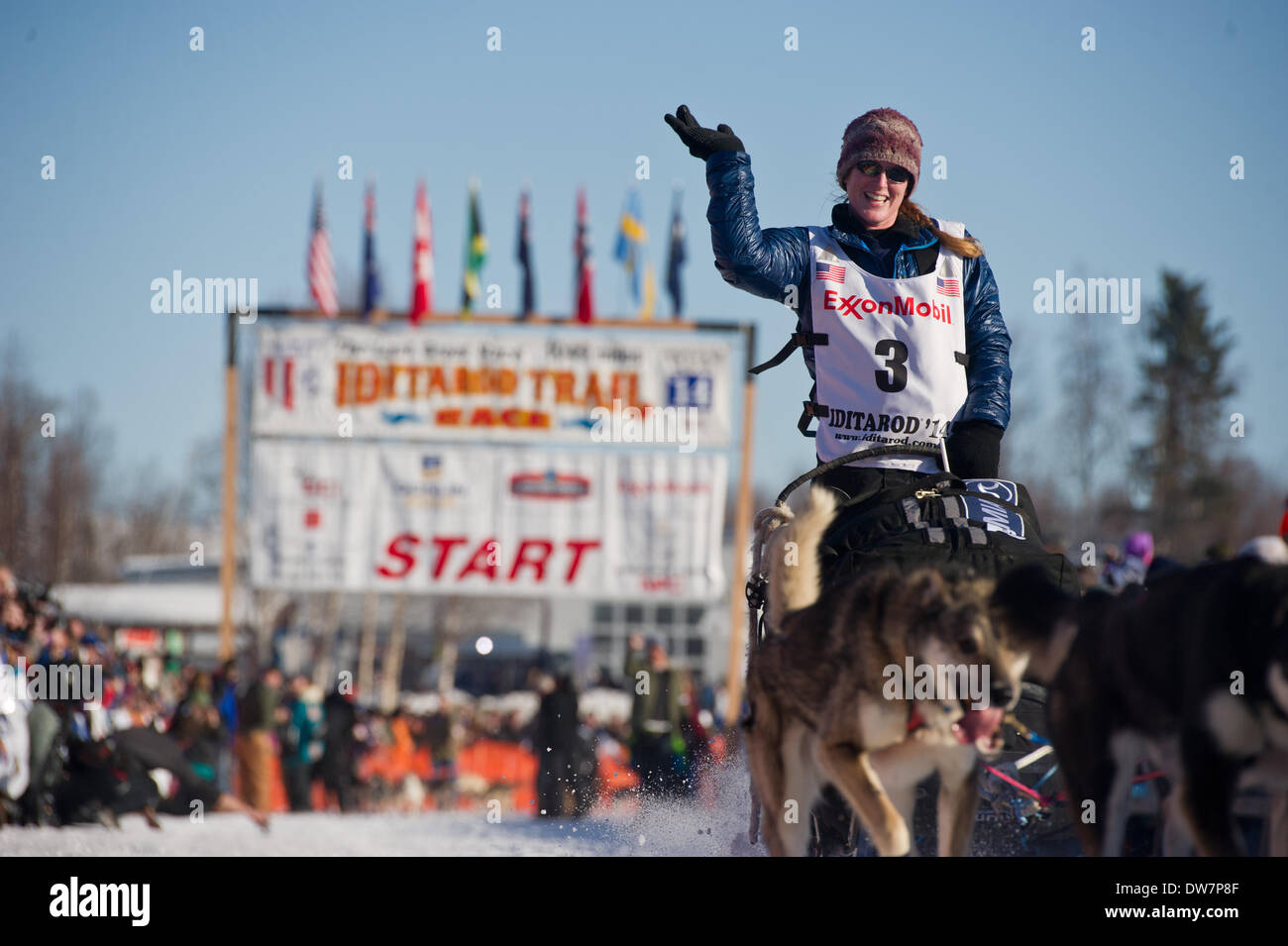 Willow, Alaska, Stati Uniti d'America. 2 Mar 2014. Marc Lester / Anchorage Daily News .Musher Paige Drobny di Fairbanks onde per la folla dopo lei lascia la linea di partenza. Racing ha iniziato per il 2014 Sentiero Iditarod Sled Dog Race sul Lago di salice domenica pomeriggio, 2 marzo 2014. Sessanta nove squadre iniziato questo anno di Iditarod. Credito: Marc Lester/Anchorage Daily News/ZUMAPRESS.com/Alamy Live News Foto Stock