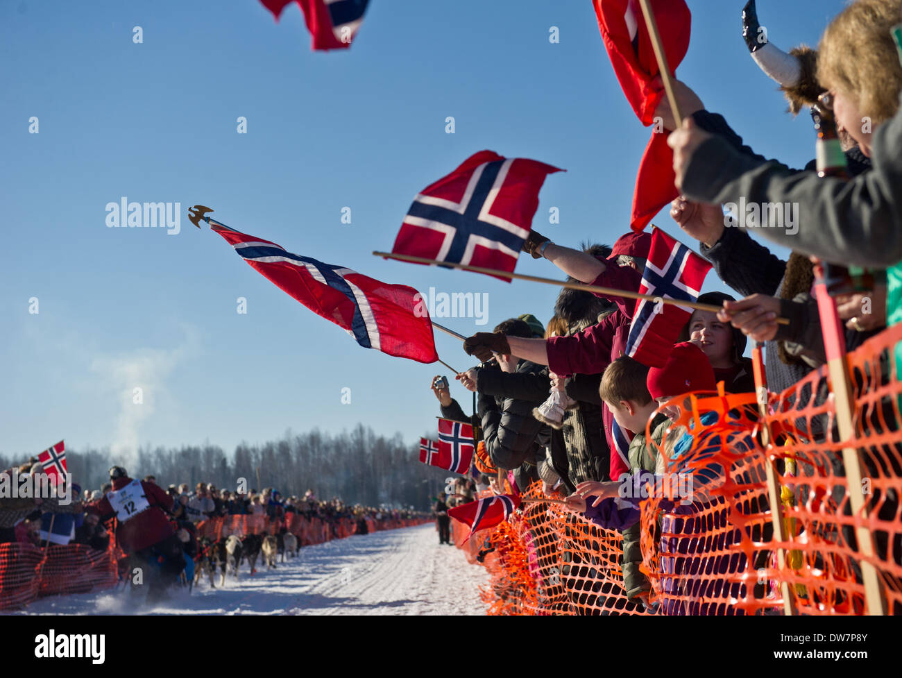 Willow, Alaska, Stati Uniti d'America. 2 Mar 2014. Marc Lester / Anchorage Daily News .fan del contingente norvegese di allietare mushers Tommy Jordbrudal della Norvegia. Racing ha iniziato per il 2014 Sentiero Iditarod Sled Dog Race sul Lago di salice domenica pomeriggio, 2 marzo 2014. Sessanta nove squadre iniziato questo anno di Iditarod. Credito: Marc Lester/Anchorage Daily News/ZUMAPRESS.com/Alamy Live News Foto Stock
