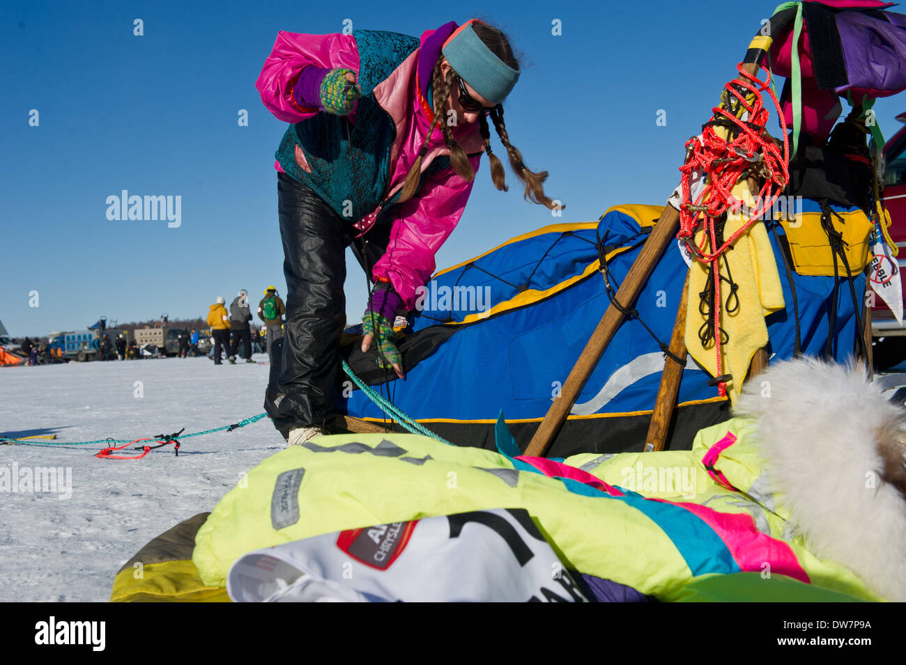 Willow, Alaska, Stati Uniti d'America. 2 Mar 2014. Marc Lester / Anchorage Daily News .Musher Monica Zappa prepara la sua slitta. Racing ha iniziato per il 2014 Sentiero Iditarod Sled Dog Race sul Lago di salice domenica pomeriggio, 2 marzo 2014. Sessanta nove squadre iniziato questo anno di Iditarod. Credito: Marc Lester/Anchorage Daily News/ZUMAPRESS.com/Alamy Live News Foto Stock