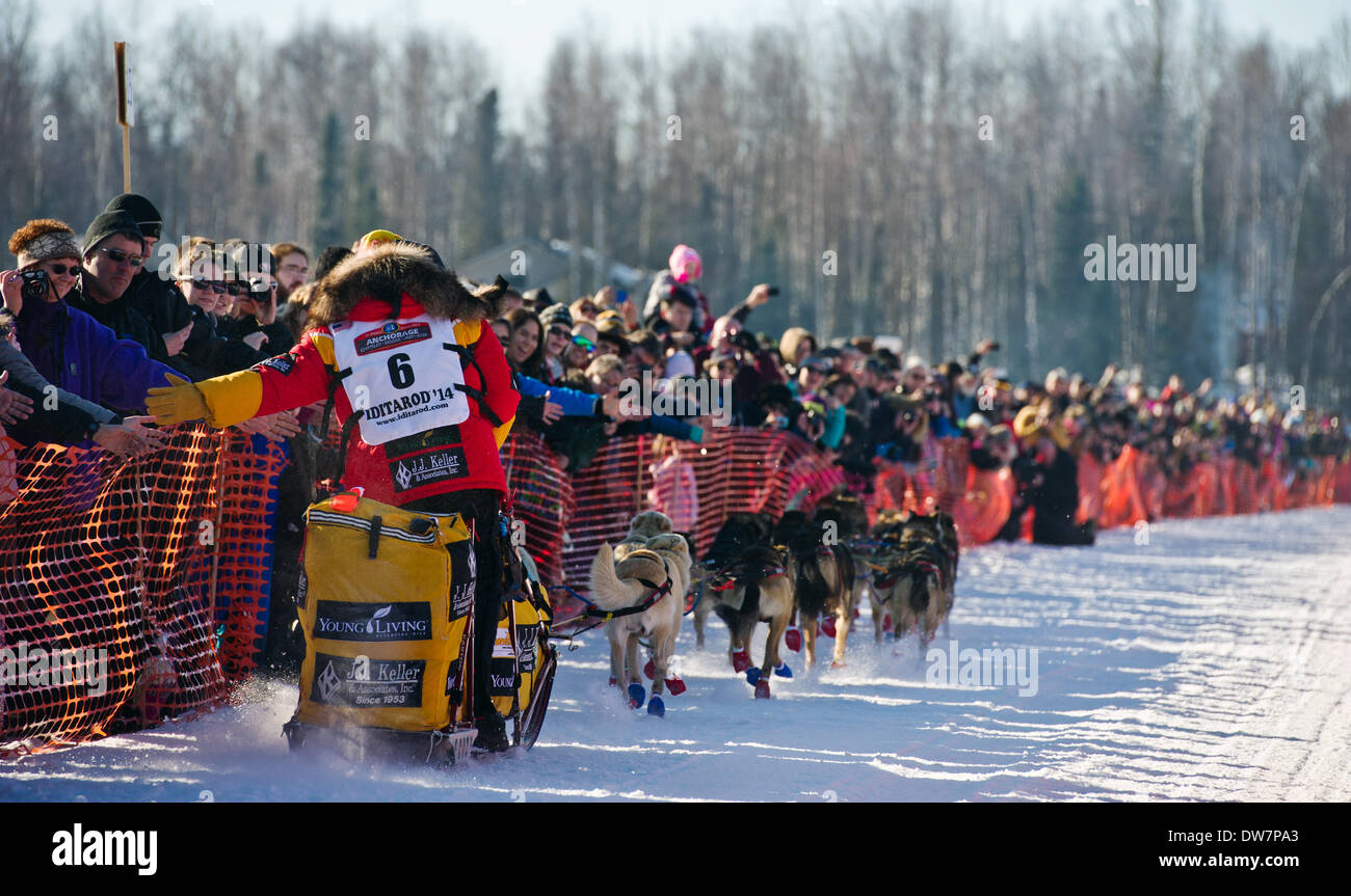 Willow, Alaska, Stati Uniti d'America. 2 Mar 2014. Marc Lester / Anchorage Daily News .campione in carica Mitch Seavey schiaffi mani con la folla. Racing ha iniziato per il 2014 Sentiero Iditarod Sled Dog Race sul Lago di salice domenica pomeriggio, 2 marzo 2014. Sessanta nove squadre iniziato questo anno di Iditarod. Credito: Marc Lester/Anchorage Daily News/ZUMAPRESS.com/Alamy Live News Foto Stock