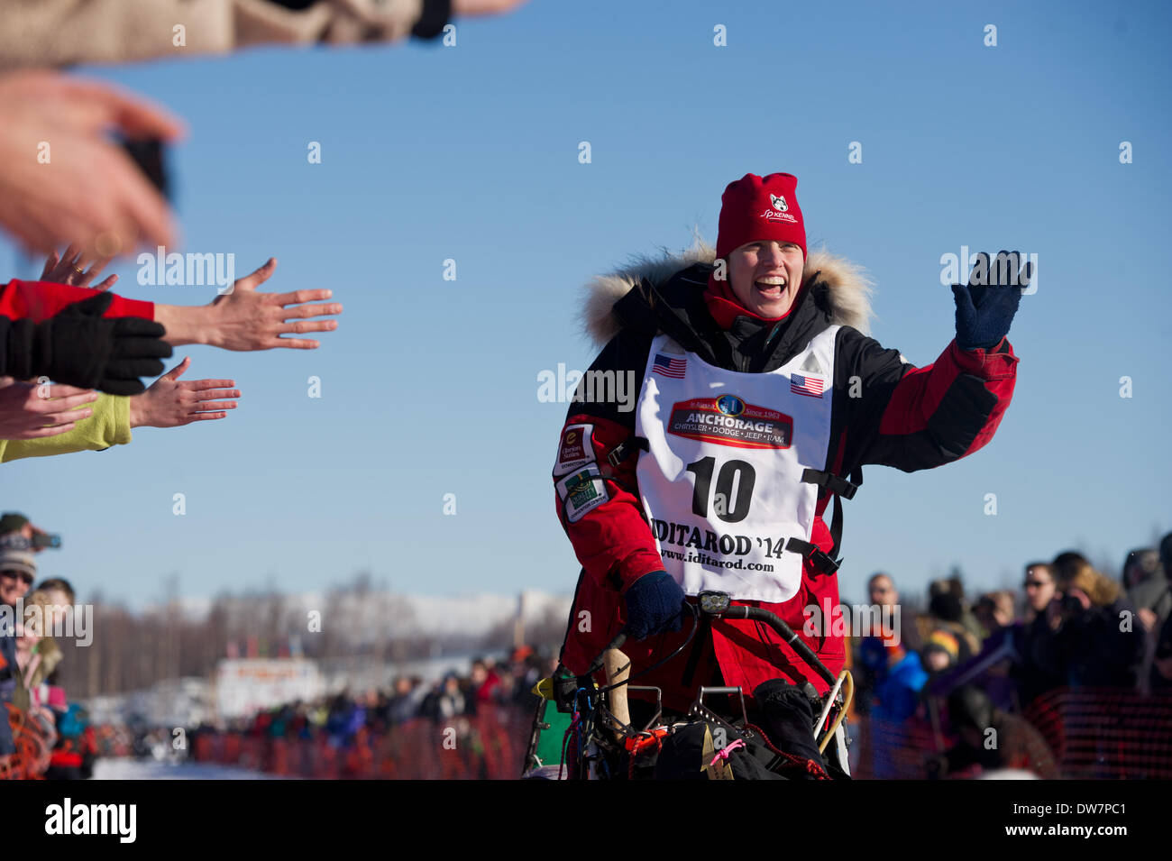 Willow, Alaska, Stati Uniti d'America. 2 Mar 2014. Marc Lester / Anchorage Daily News .Aliy Zirkle onde alle ventole sul Lago di Salice. Racing ha iniziato per il 2014 Sentiero Iditarod Sled Dog Race sul Lago di salice domenica pomeriggio, 2 marzo 2014. Sessanta nove squadre iniziato questo anno di Iditarod. Credito: Marc Lester/Anchorage Daily News/ZUMAPRESS.com/Alamy Live News Foto Stock