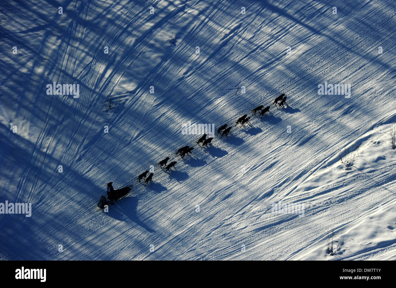 Willow, AK, STATI UNITI D'AMERICA. 2 Mar 2014. Iditarod musher Nathan Schroeder aziona il suo cane team giù il sentiero appena dopo l'inizio del 2014 Sentiero Iditarod Sled Dog Race fuori di Willow, AK, domenica 2 marzo, 2014. 140302. Credito: Bob Hallinen/Anchorage Daily News/ZUMAPRESS.com/Alamy Live News Foto Stock