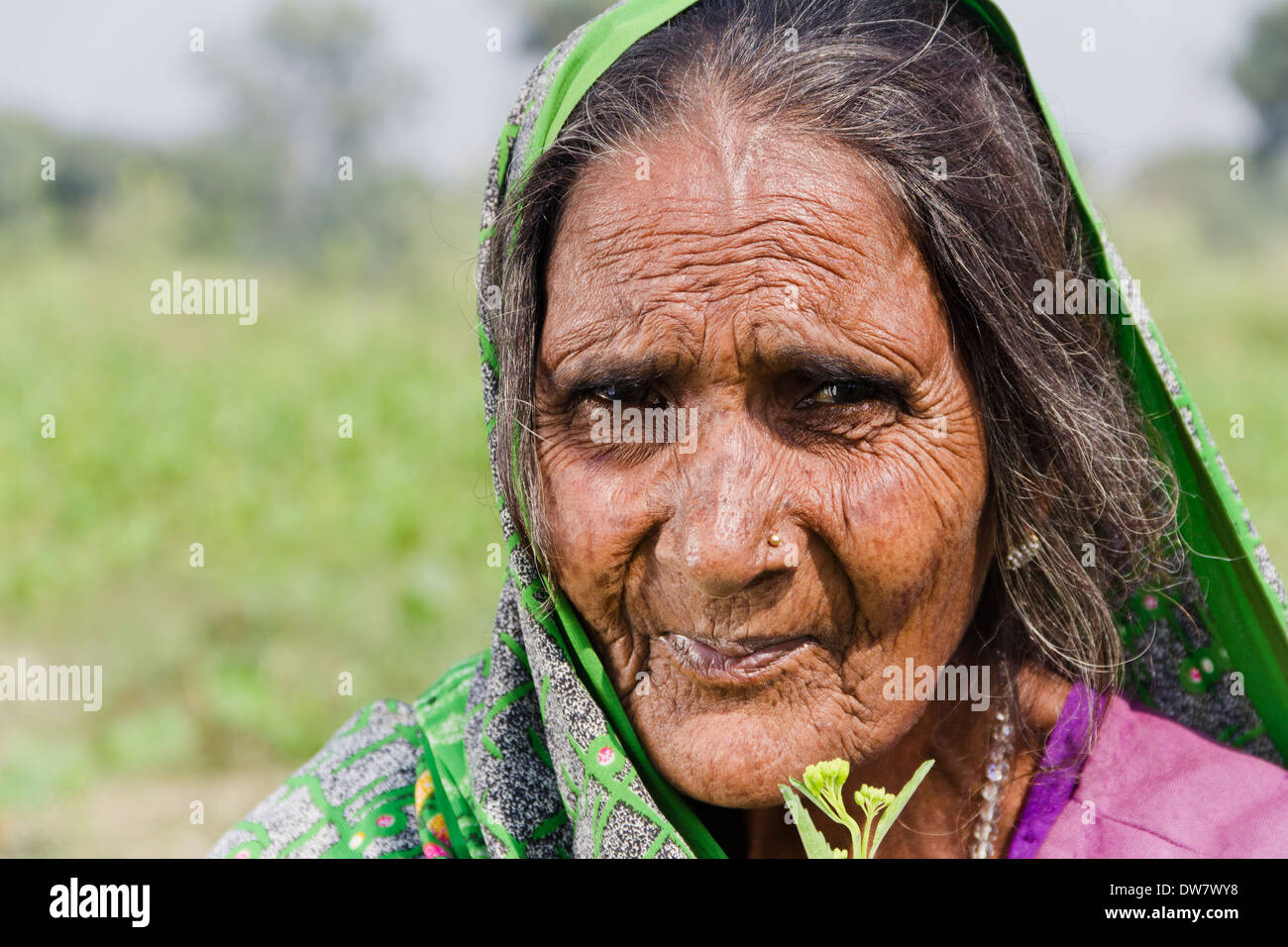 1 donna indiana che lavora in azienda Foto Stock