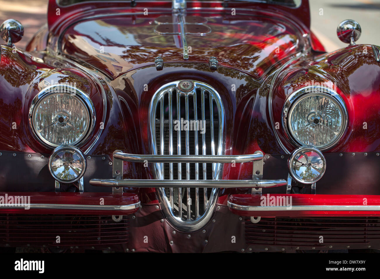 Scatto frontale di un 1952 Jaguar, Marin County, California, Stati Uniti d'America. Foto Stock