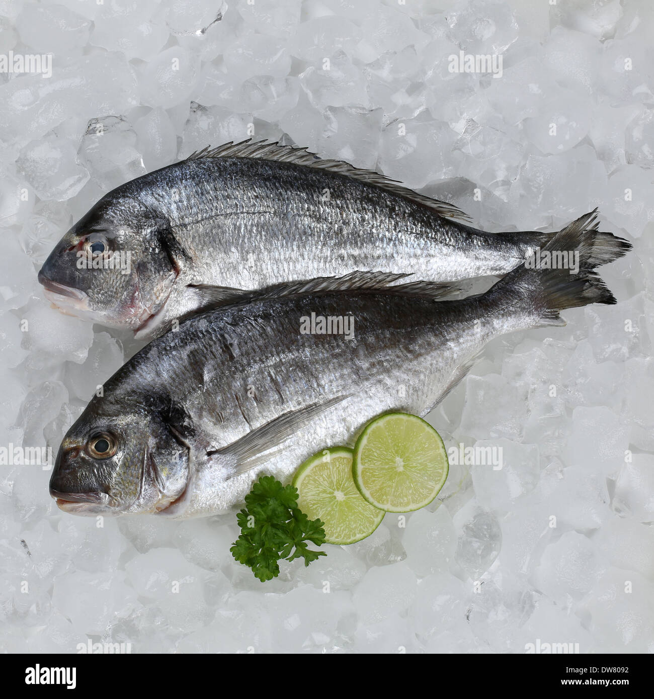 Pesce fresco sul ghiaccio in un supermercato Foto Stock