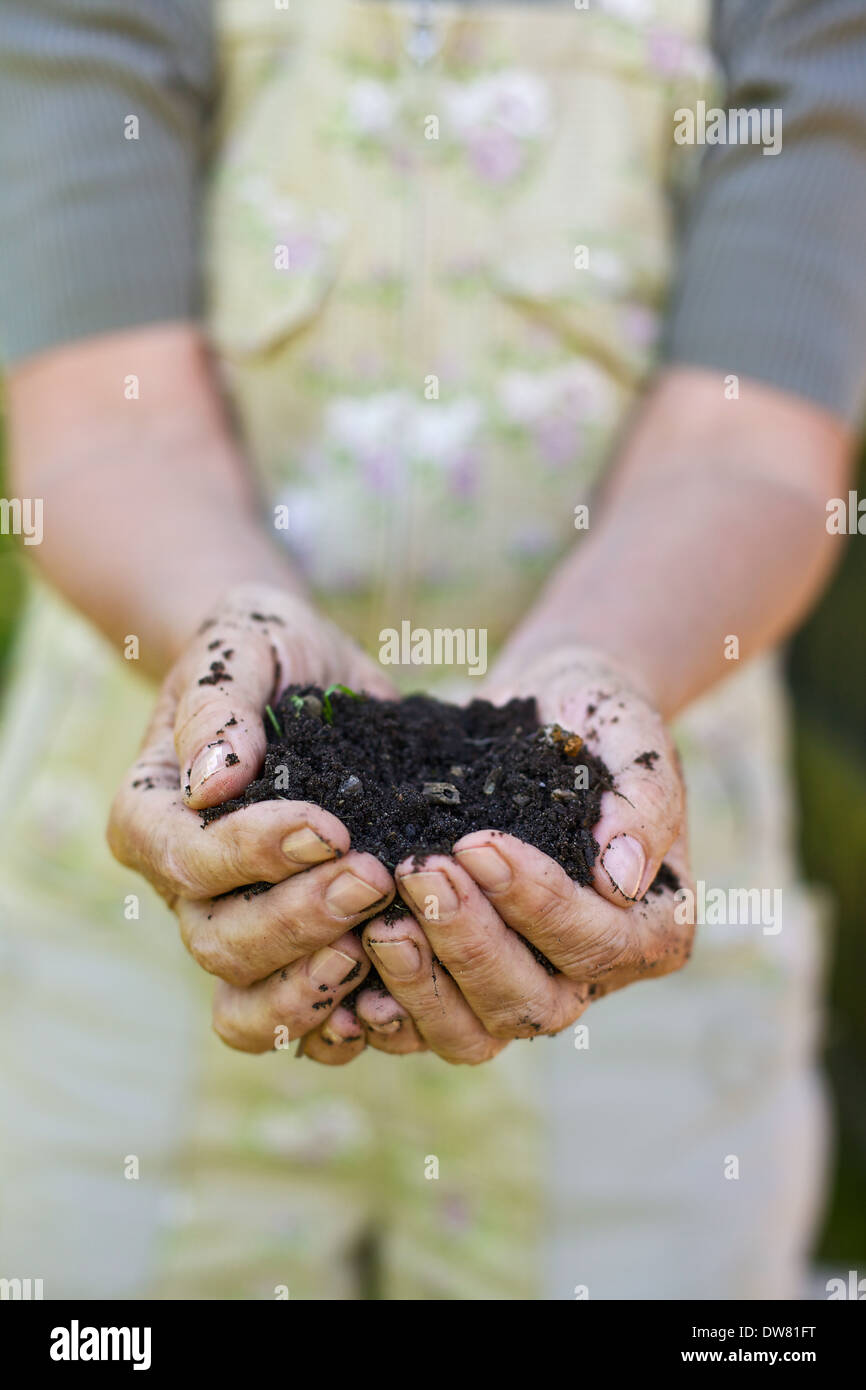 Primo piano immagine della vecchia donna mani tenendo il compost. Senior mani femminili in possesso di una manciata di torba, compost gratuito Foto Stock
