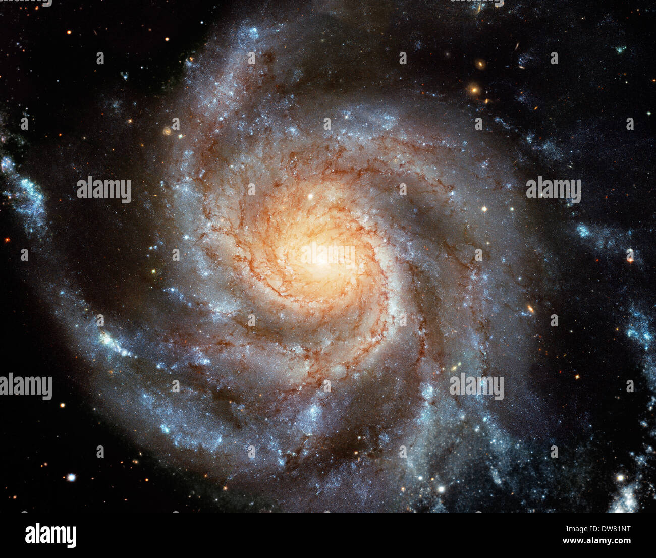 Galassia a spirale M101 Foto Stock