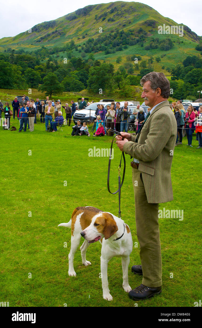 Sentiero Hound proprietario che mostra il suo cane a Patterdale Sheep Dog Trail e Cane giorno Cumbria Inghilterra England Regno Unito Foto Stock