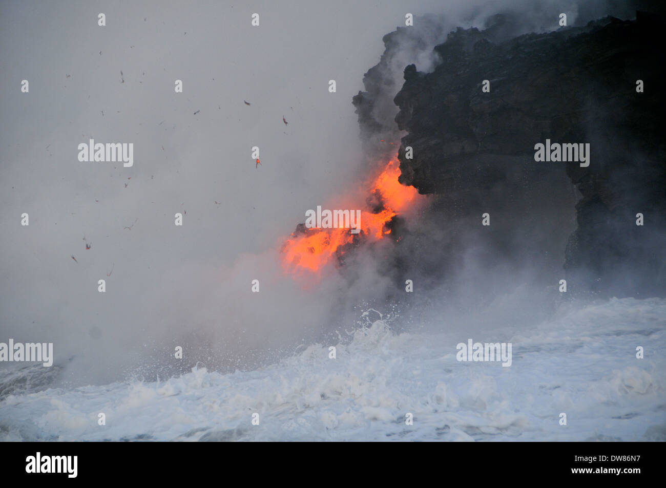 Esplosioni di roccia quando si lava dal vulcano Kilauea fluisce nell'oceano, Parco Nazionale dei Vulcani delle Hawaii, Big Island, Hawaii, STATI UNITI D'AMERICA Foto Stock