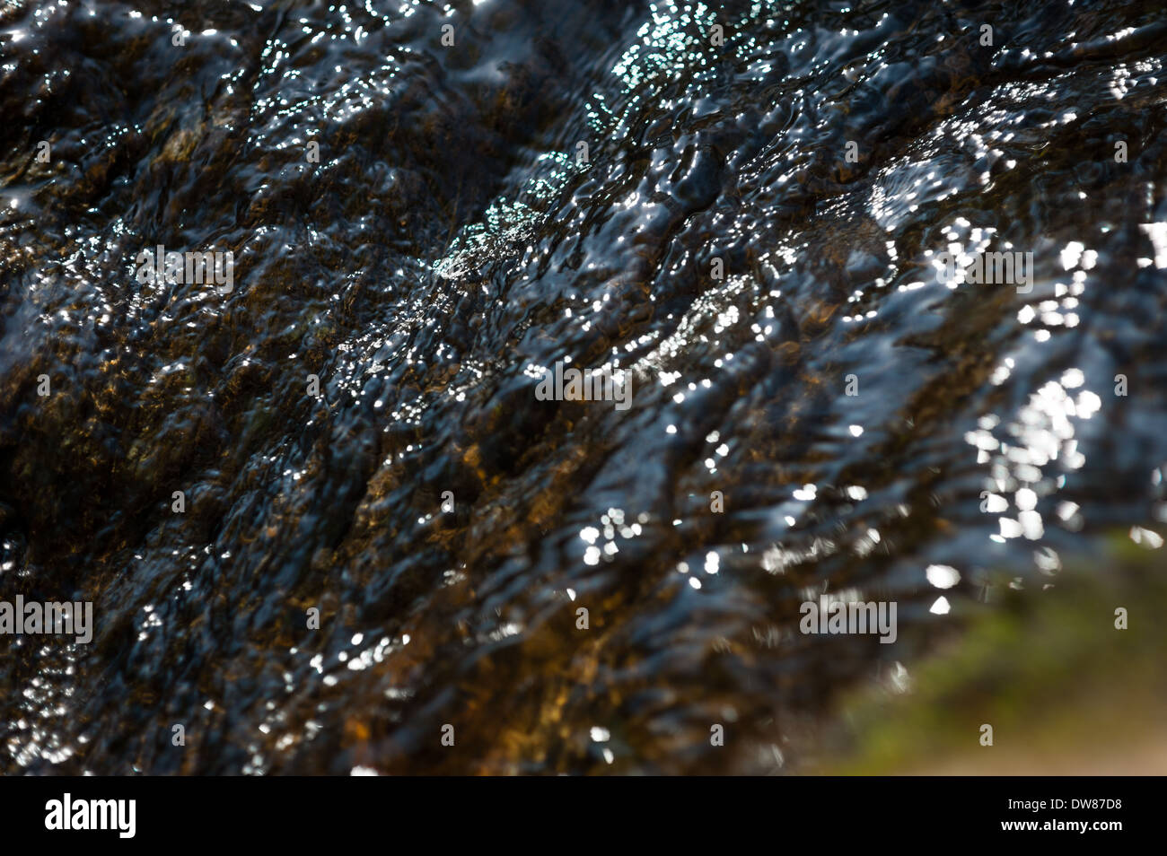 Fiume Teign, Dunsford legno, Devon, Regno Unito. Foto Stock