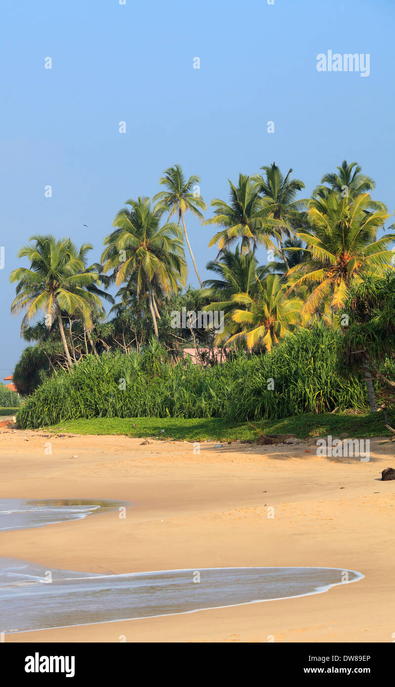 Sri Lanka, Hikkaduwa, spiaggia, Foto Stock