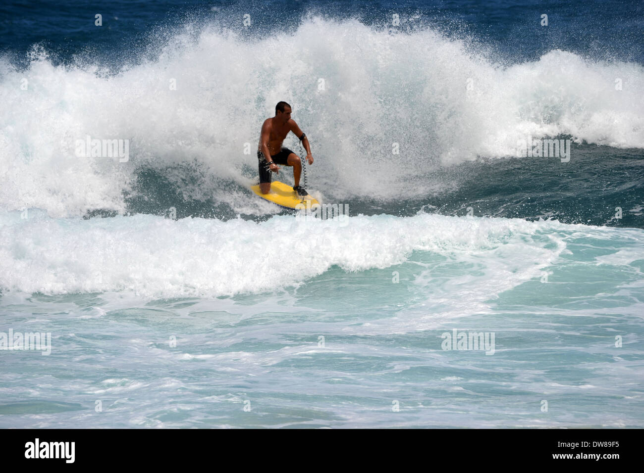 Bodyboarder sul suo ginocchio navigare un'onda sulla spiaggia sabbiosa, Est Oahu, Hawaii, STATI UNITI D'AMERICA Foto Stock