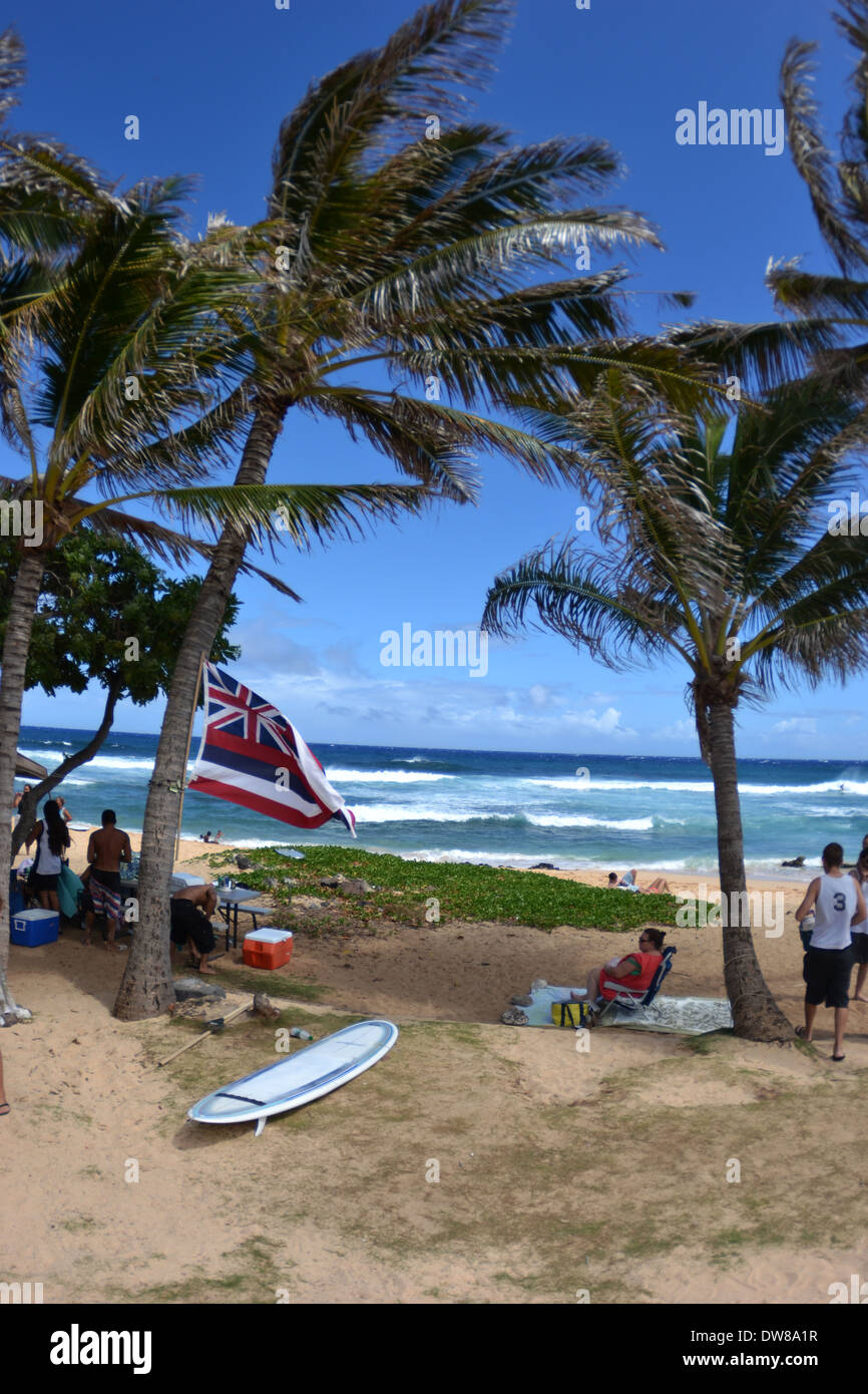 Riunione di famiglia sulla spiaggia sabbiosa, Est Oahu, Hawaii, STATI UNITI D'AMERICA Foto Stock
