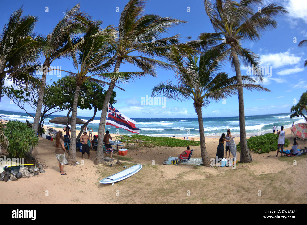 Riunione di famiglia sulla spiaggia sabbiosa, Est Oahu, Hawaii, STATI UNITI D'AMERICA Foto Stock