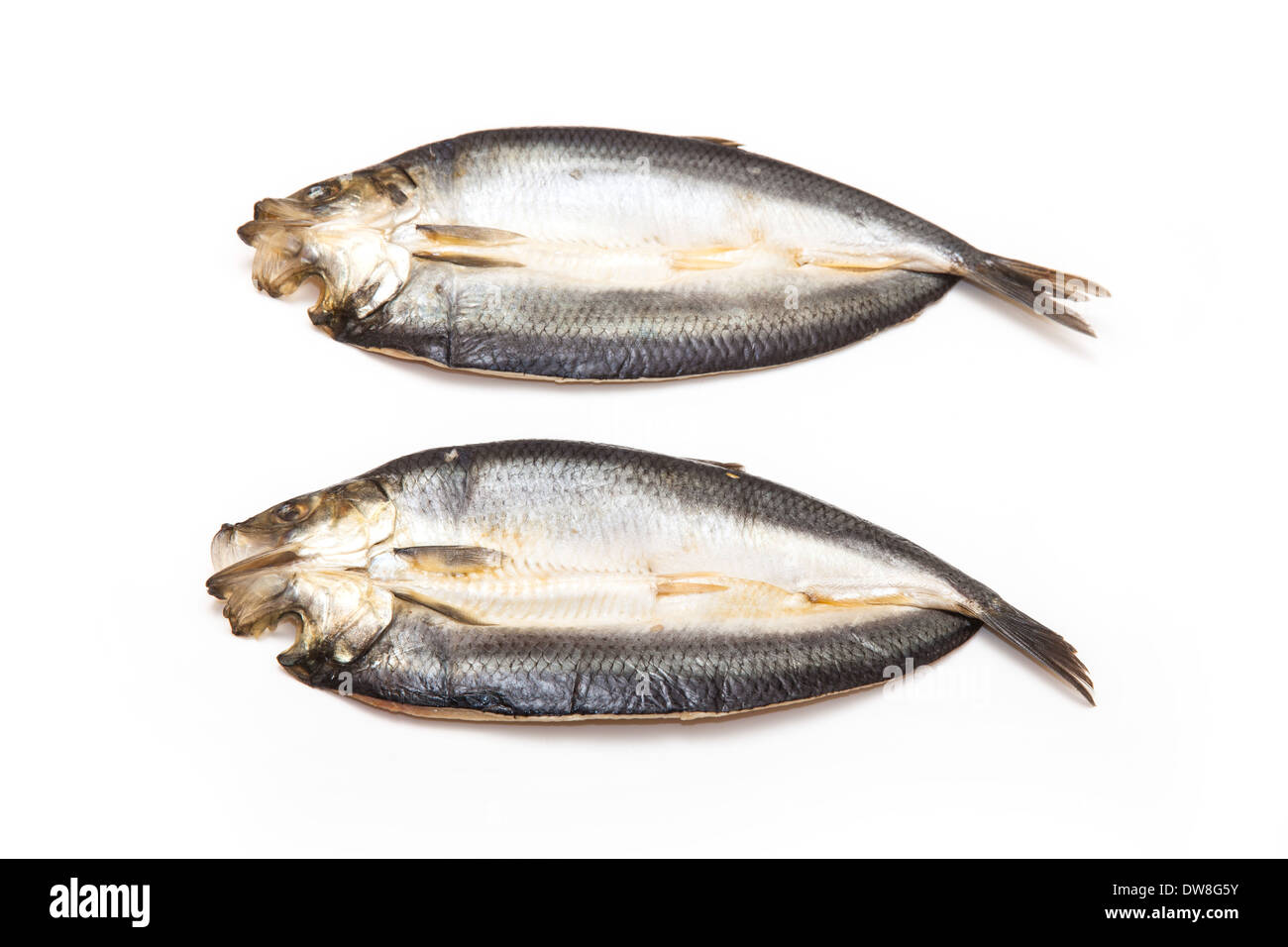 Non tinti con salmone affumicato isolato su un bianco di sfondo per studio. Foto Stock