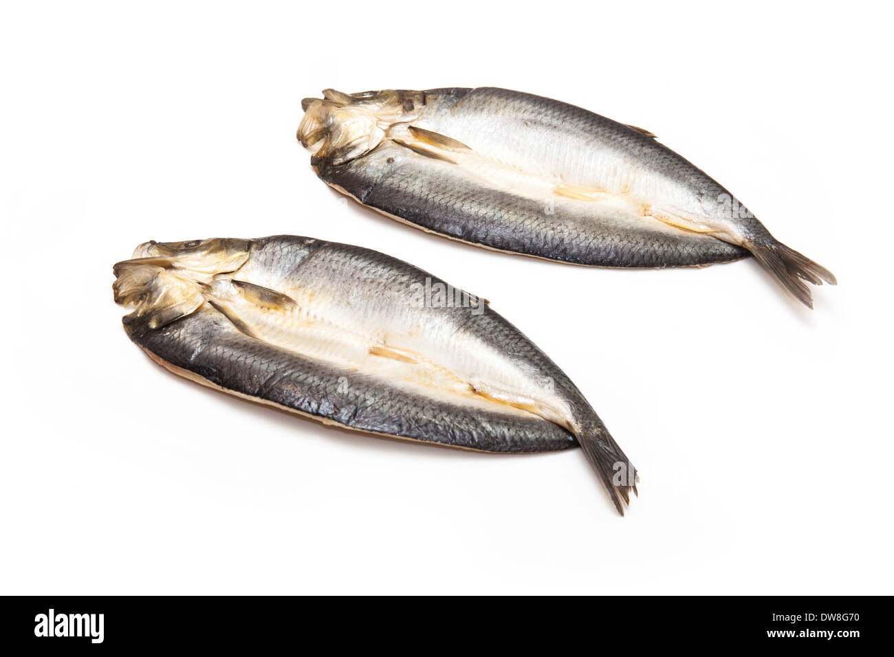 Non tinti con salmone affumicato isolato su un bianco di sfondo per studio. Foto Stock