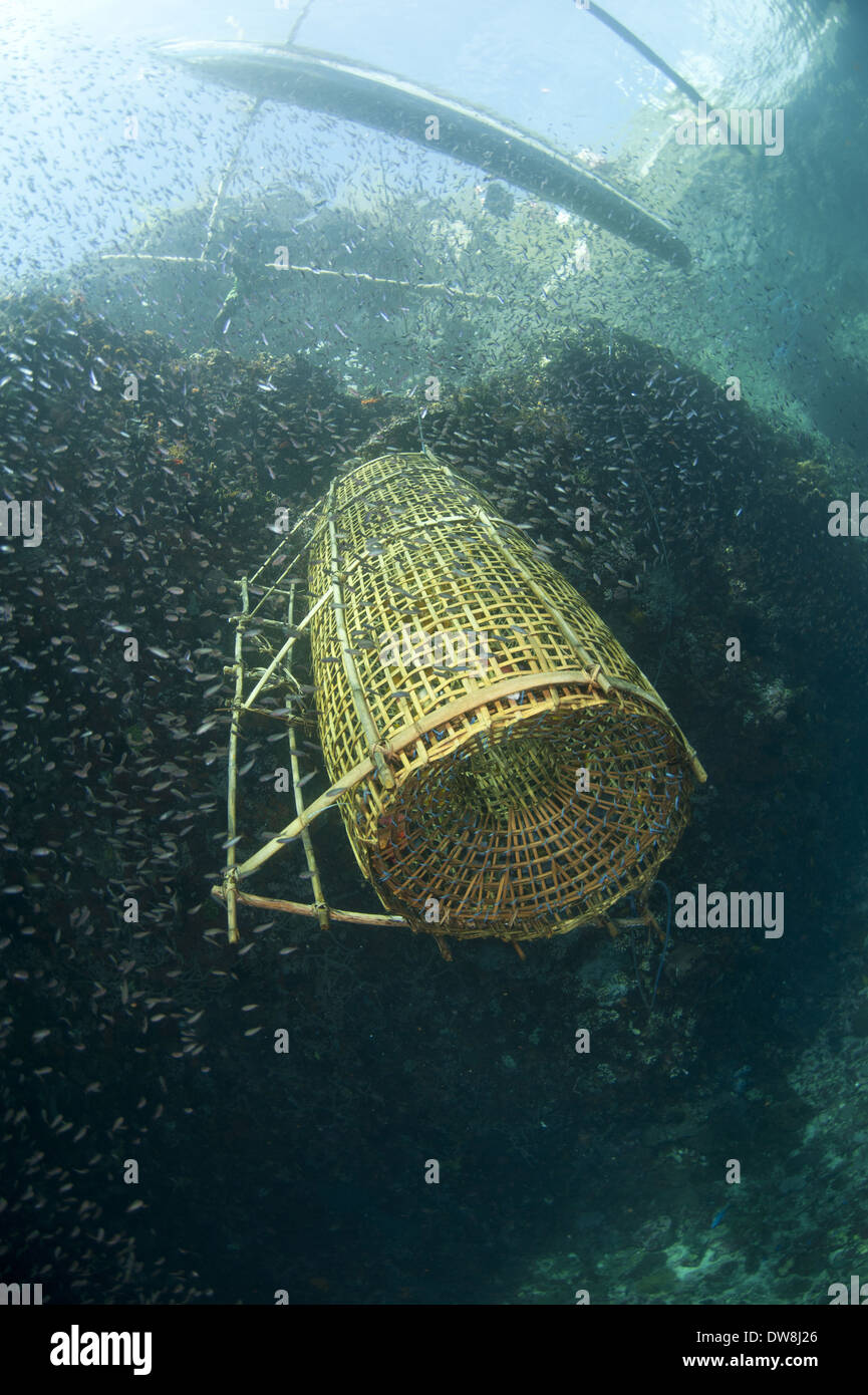 Cesto di pesce essendo sollevata sulla barca da pesca Crocifissione punto Pantar Isola Arcipelago Alor Lesser Sunda Islands Indonesia Foto Stock