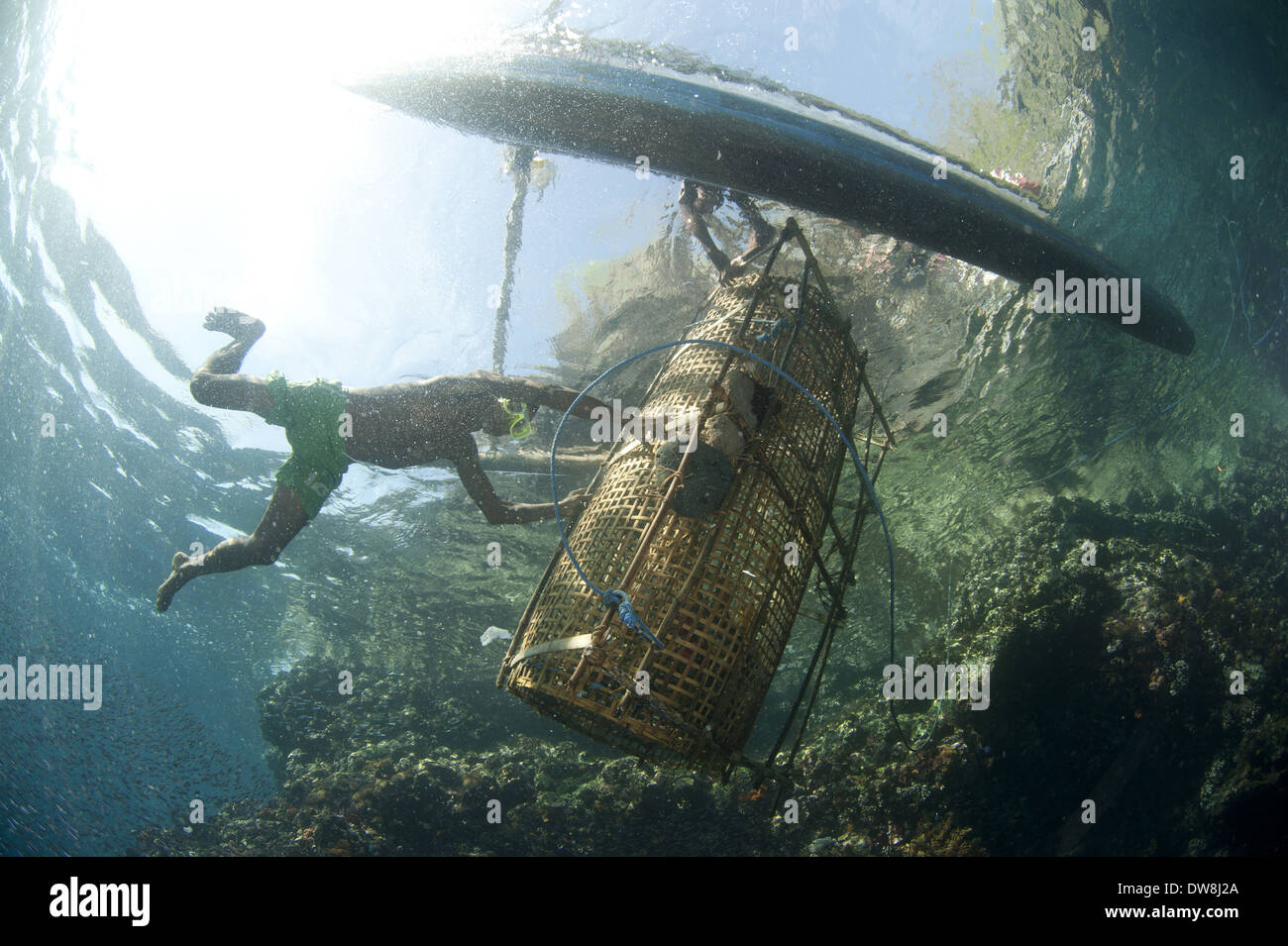 Fisherman guida cesto di pesce sulla barca da pesca Crocifissione punto Pantar Isola Arcipelago Alor Lesser Sunda Islands Indonesia Foto Stock