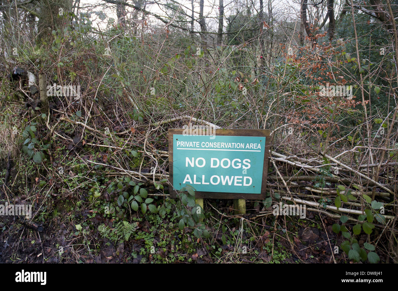 Private Area di conservazione non sono ammessi cani' segno Chipping Lancashire Inghilterra Gennaio Foto Stock
