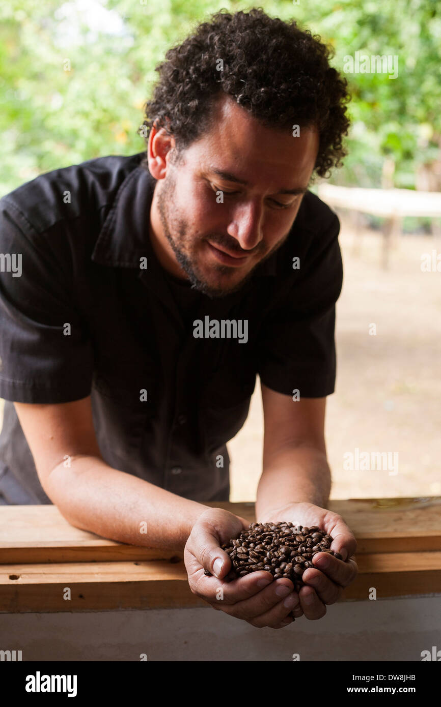 Un El Salvador caffè produttore detiene e orgogliosamente ispeziona fresco fagioli arrosto presso il suo impianto di tostatura in Juayua El Salvador Foto Stock