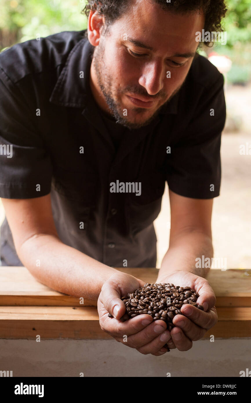Un El Salvador caffè produttore detiene e orgogliosamente ispeziona fresco fagioli arrosto presso il suo impianto di tostatura in Juayua El Salvador Foto Stock