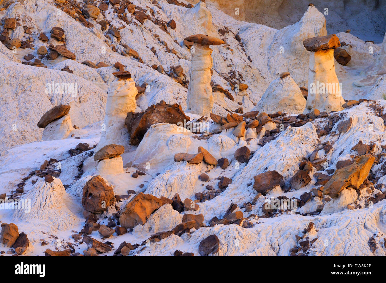 Hoodoos bianco al Rimrocks nell'ultima luce del giorno Foto Stock