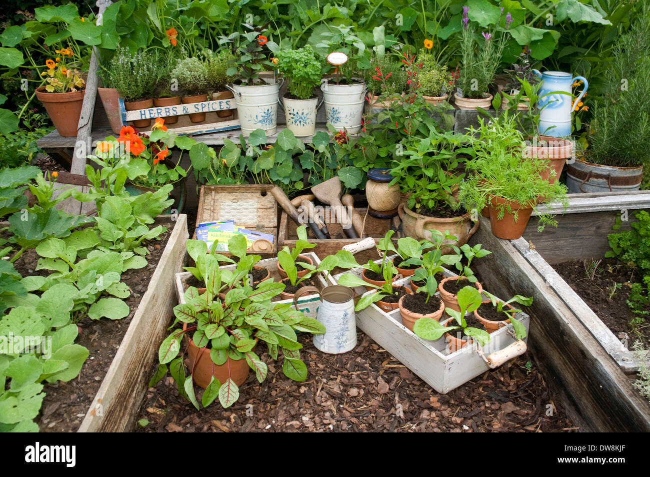 Giardino delle erbe Foto Stock