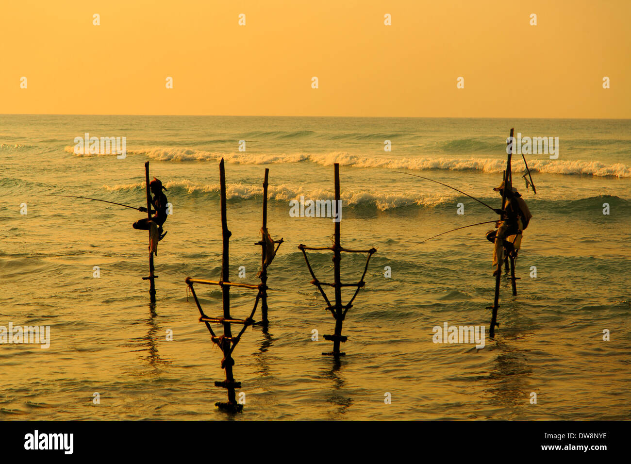 Unawatuna, Sri lanka - gennaio 25, 2014: stilt non identificato i pescatori ad Unawatuna, Sri lanka. stilt la pesca è speciale al distretto di Galle e thereare circa 500 famiglie di pesca nella fascia costiera. Foto Stock