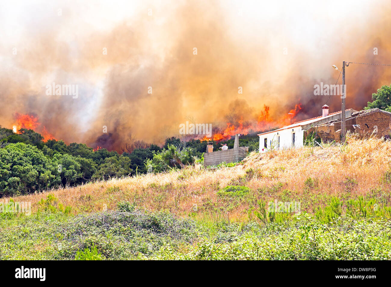 Enorme foresta fuoco minaccia case in Portogallo Foto Stock