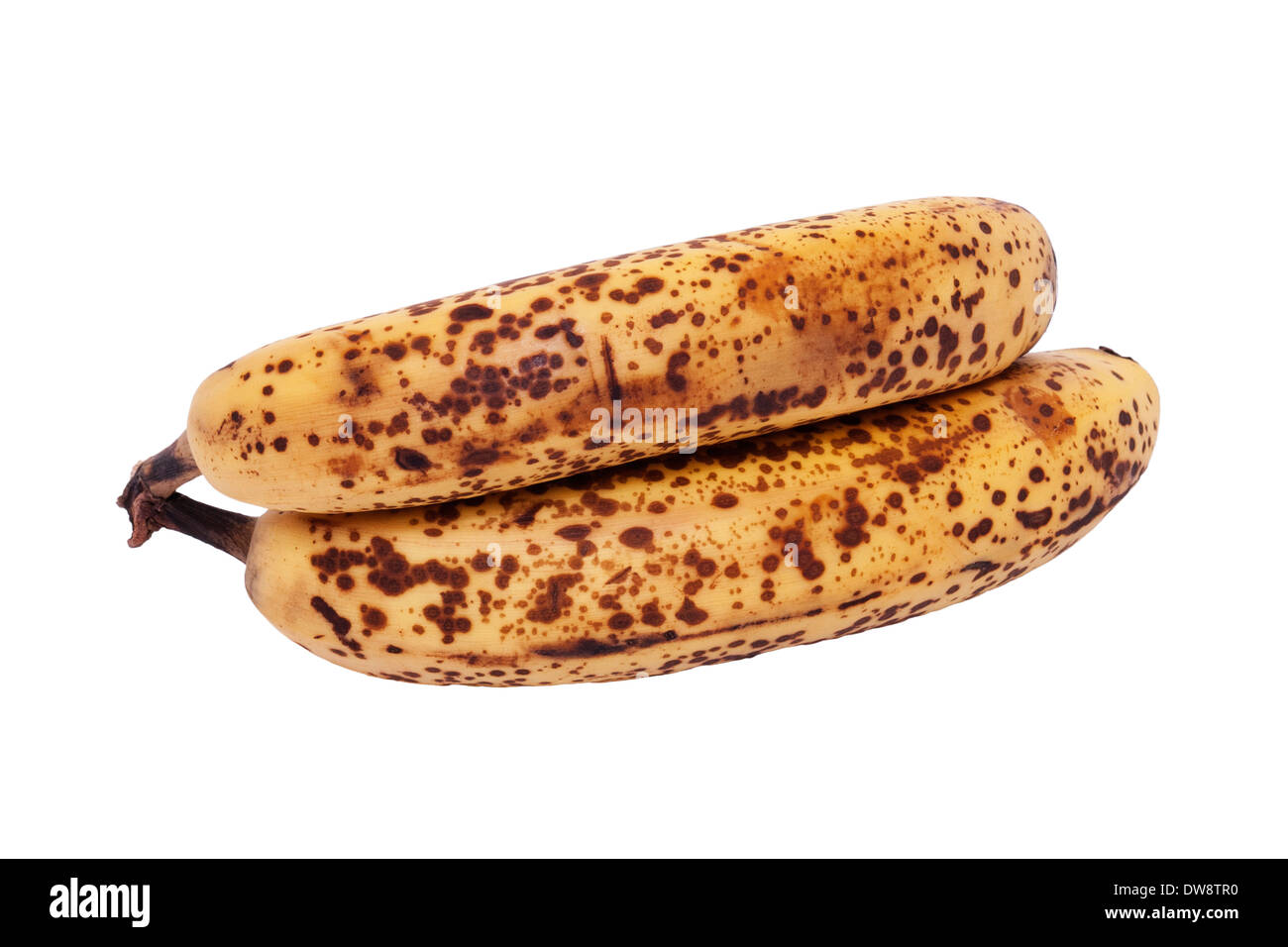 Un grappolo di banane mature su sfondo bianco Foto Stock