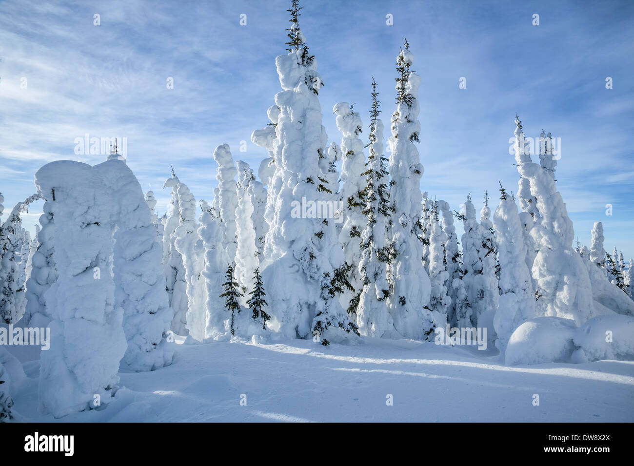 Coperte di neve alberi su Silver Star Mountain, British Columbia, Canada. Foto Stock