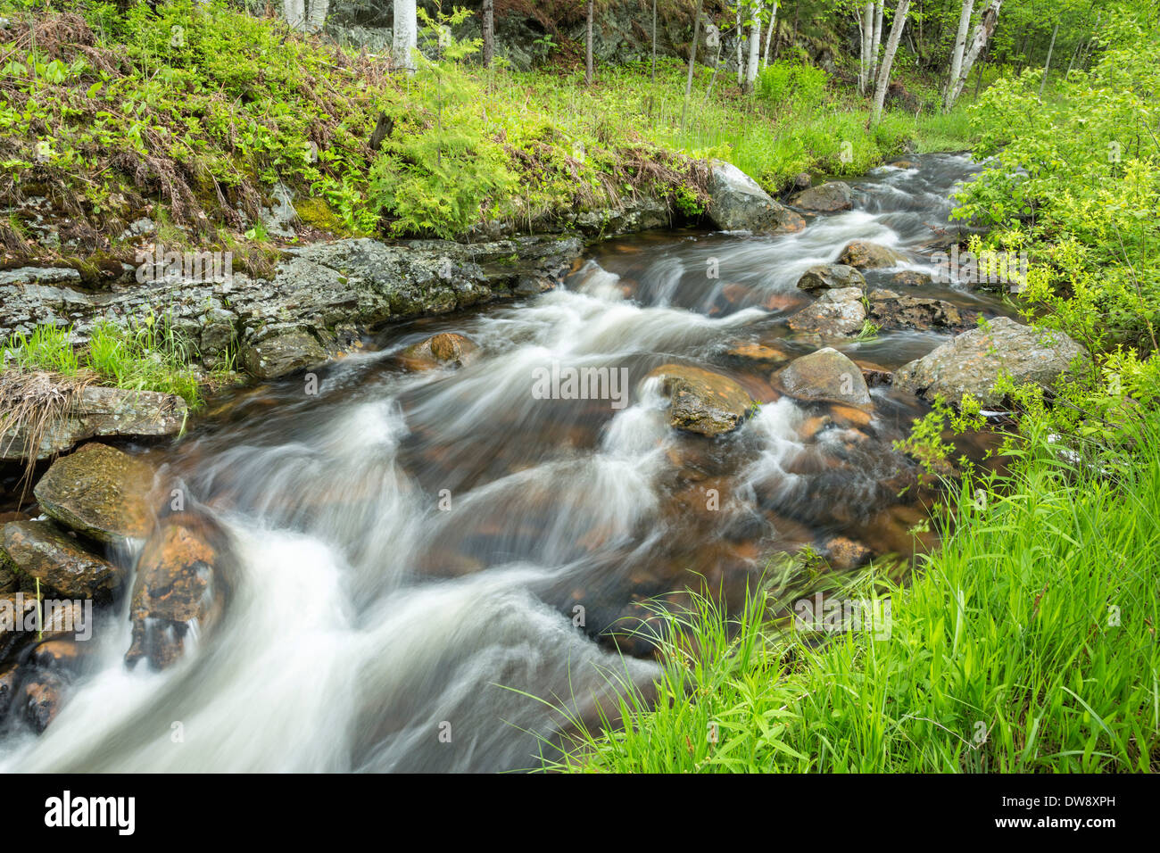 Le rapide su un piccolo ruscello, Sudbury, Ontario, Canada. Foto Stock