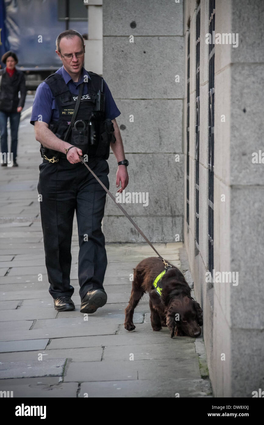 Sniffer di polizia cane in azione al di fuori di Old Bailey Court a Londra Foto Stock