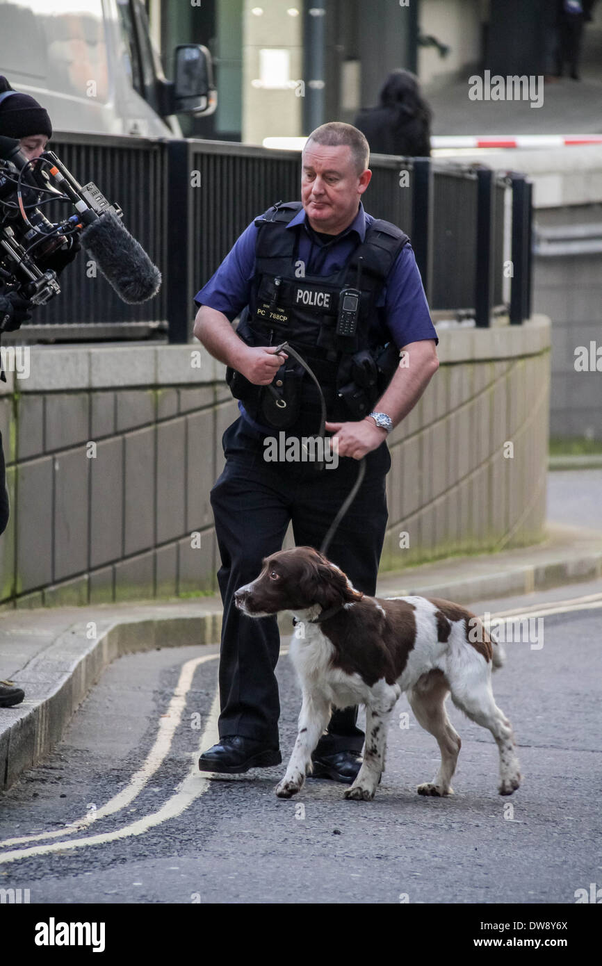 Sniffer di polizia cane in azione al di fuori di Old Bailey Court a Londra Foto Stock