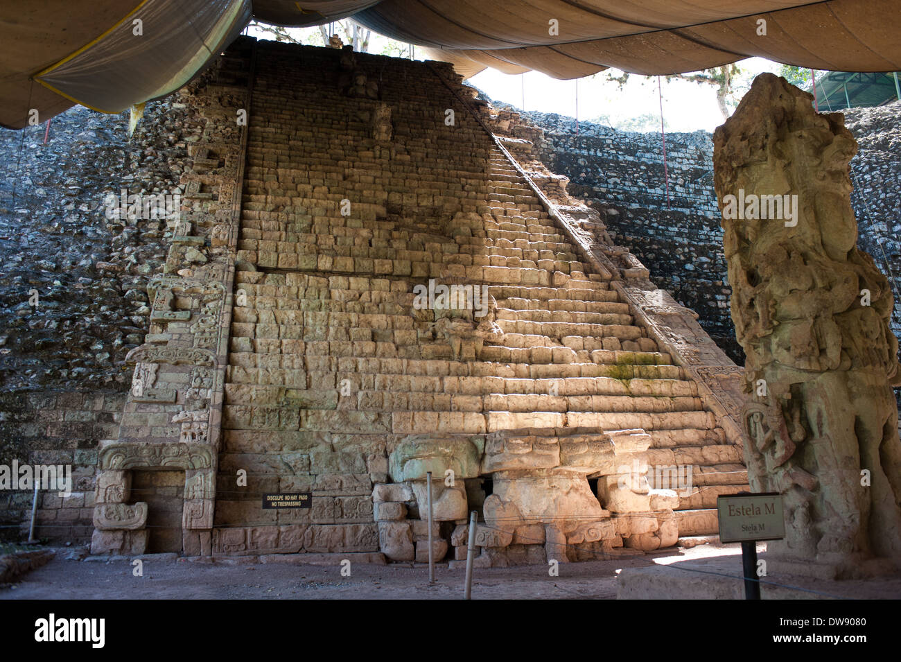 La scala geroglifica a Ruinas de Copán in Honduras Foto Stock