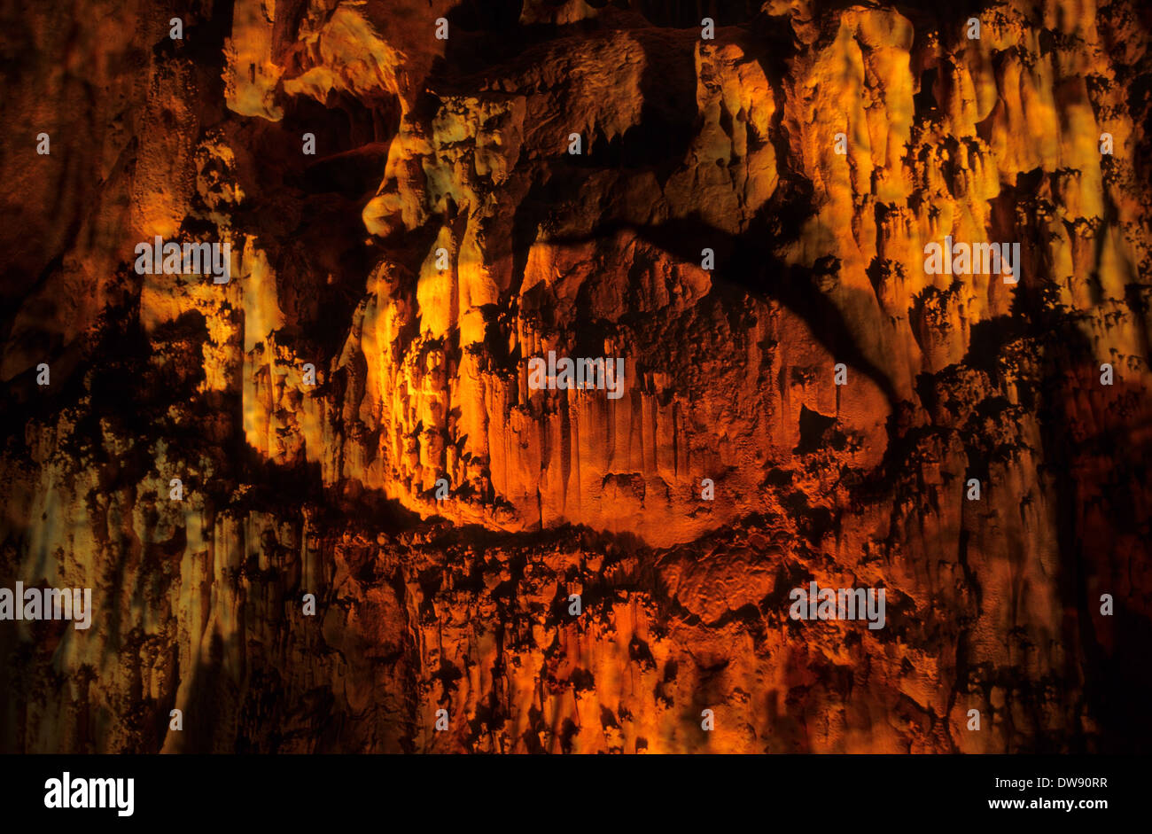 Elk248-2915 California, Mojave National Preserve, Mitchell caverne, tubi di corallo formazione Foto Stock
