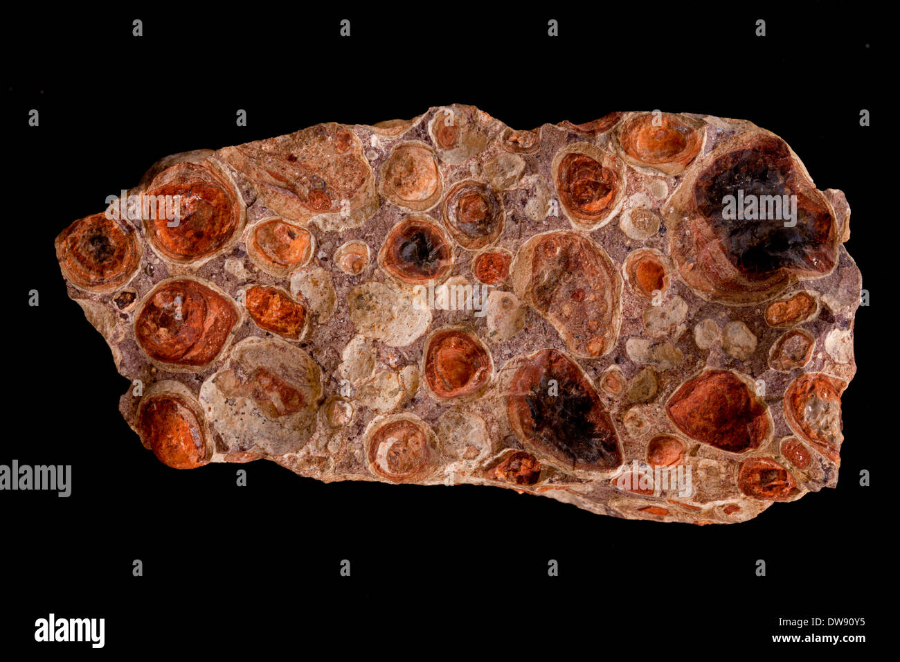 La bauxite, il minerale di alluminio, Le Baux, Francia Foto Stock