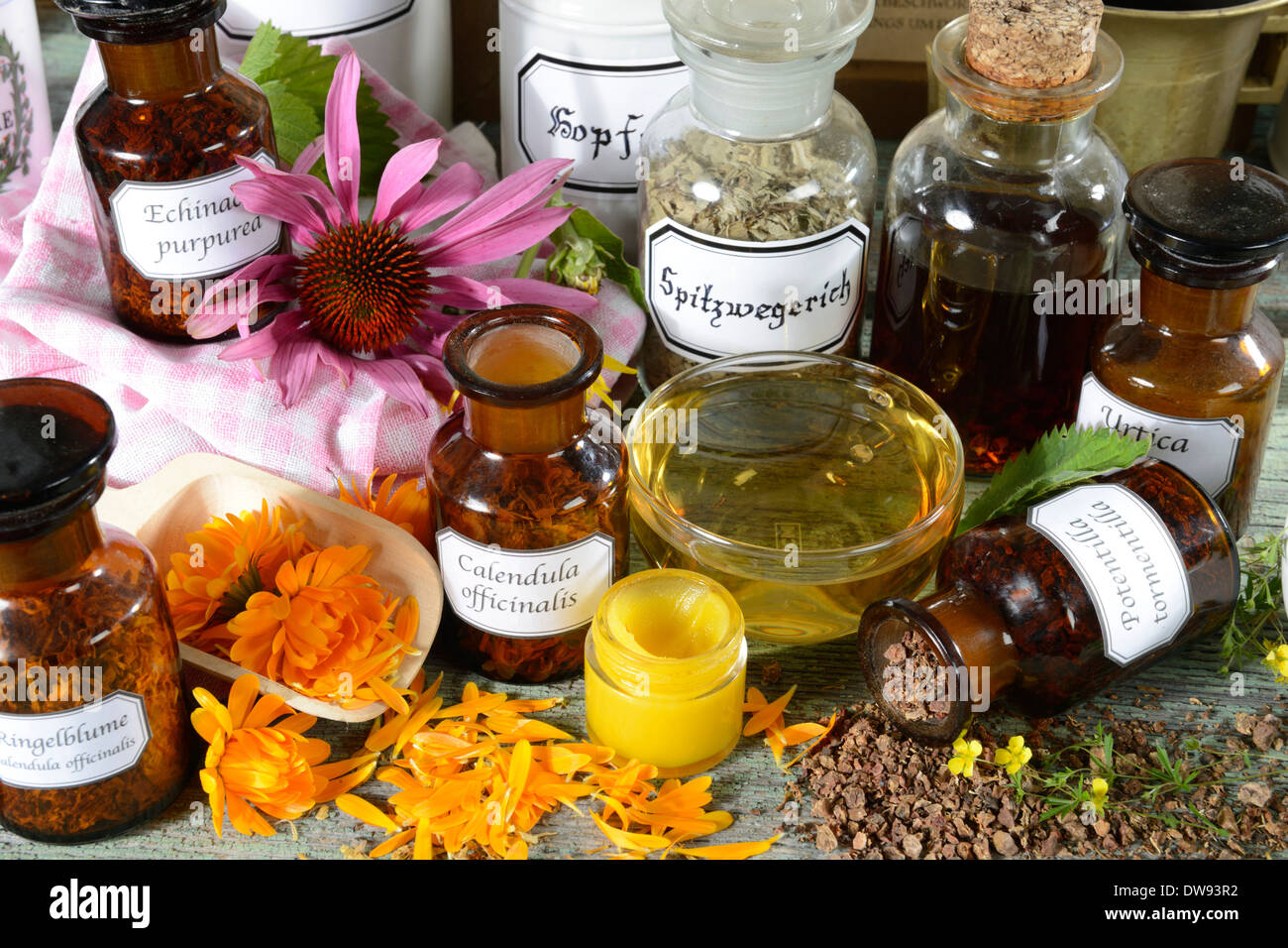 Farmacia erba Foto Stock