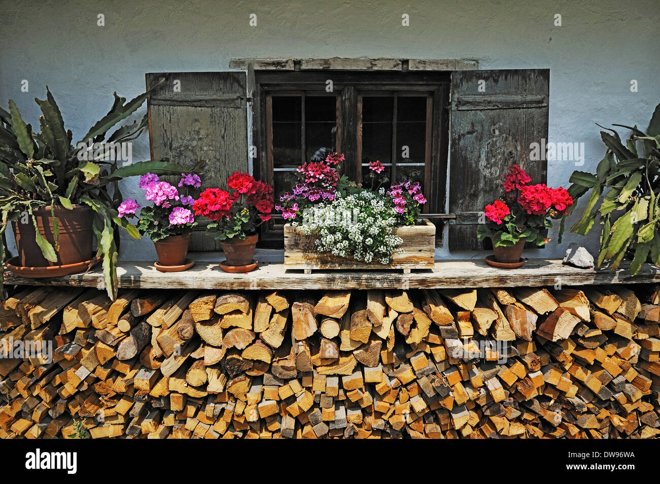 Windows dietro un woodpile e fiori in Markus Wasmeier / Farm e sport invernali Museum, Neuhaus, Schliersee, Alta Baviera Foto Stock