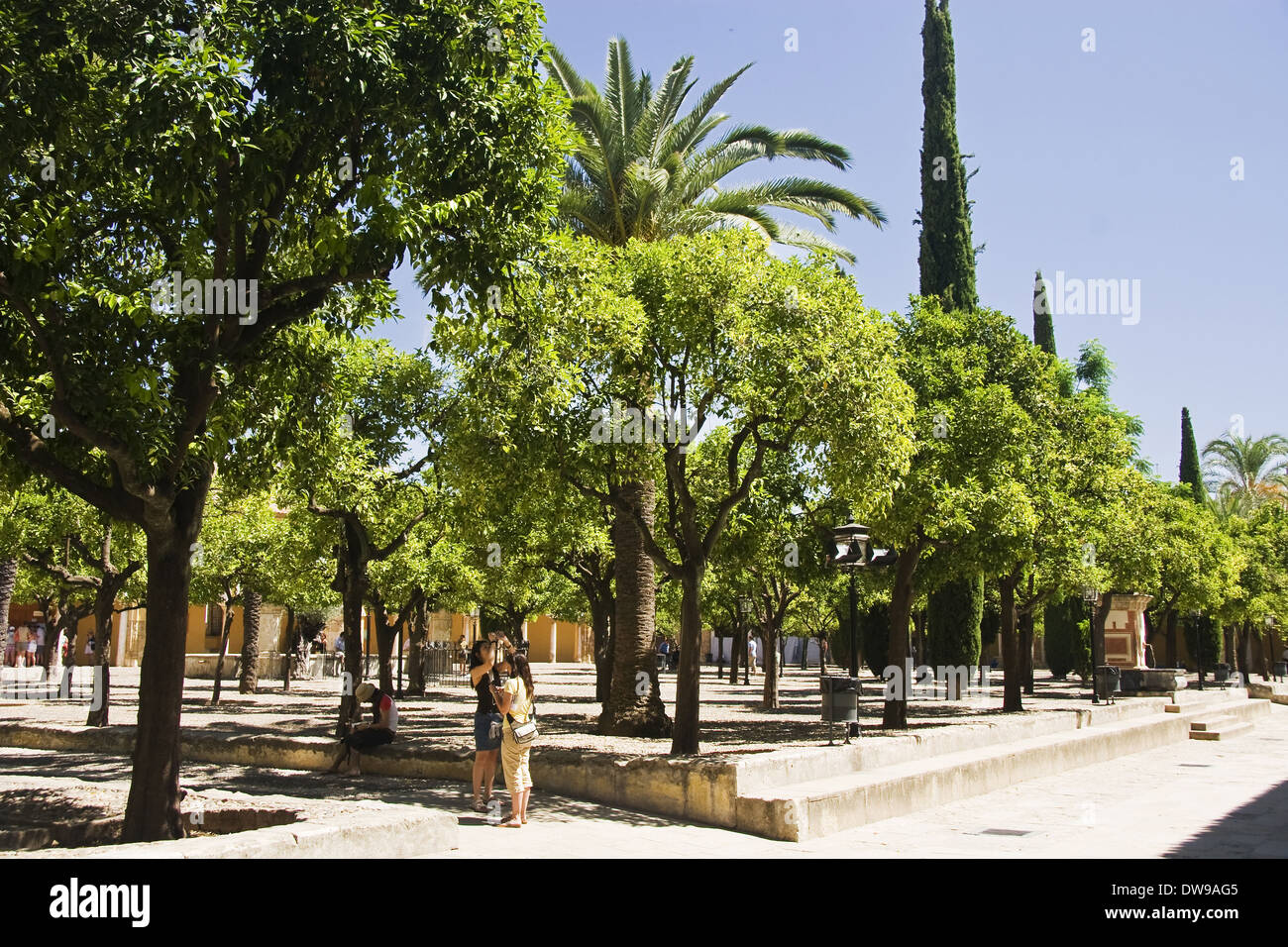 Arancione, Cortile Grande moschea cordoba Foto Stock