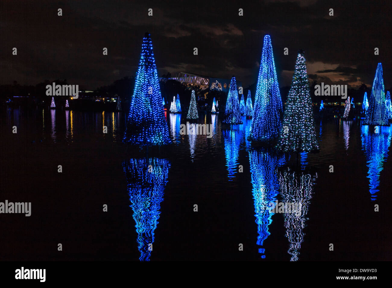 Mare di alberi di Natale mostra al SeaWorld include oltre 100 alberi con multi-luci colorate sincronizzate con la musica Foto Stock