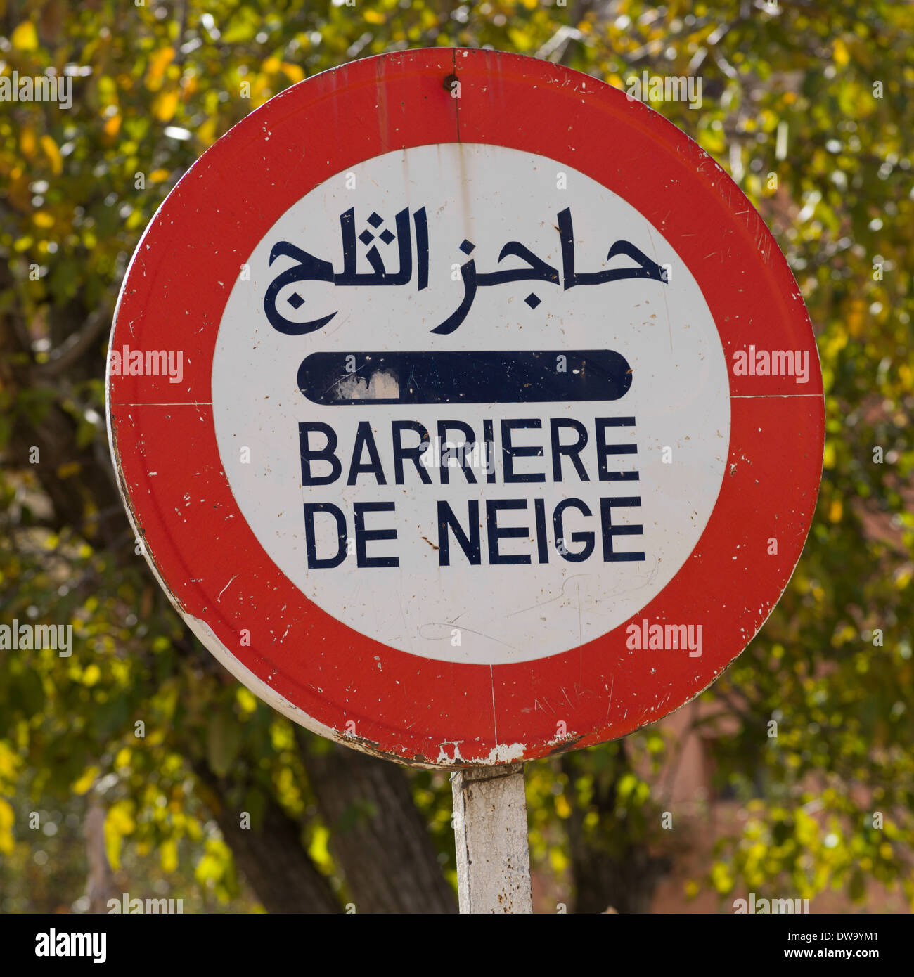 Close-up di strada bilingue segno, Atlante, Marocco Foto Stock