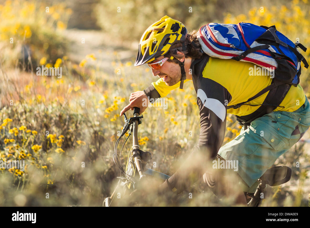 Giovane uomo mountain bike, Fontana, in California, Stati Uniti d'America Foto Stock