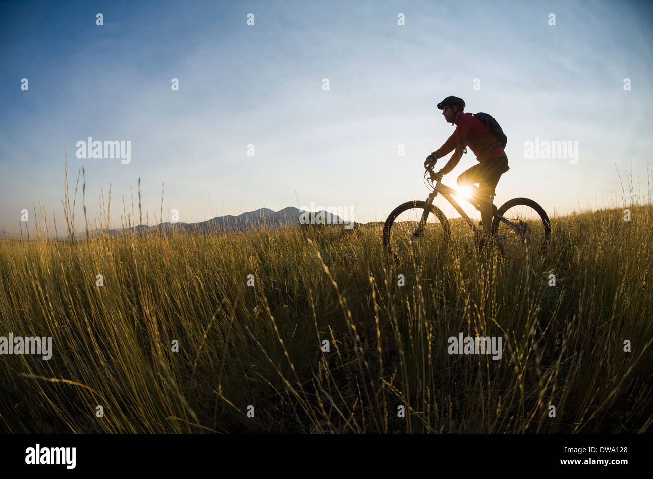 Uomo in mountain bike sulla storia Hills Trail, Bozeman, Montana, USA Foto Stock