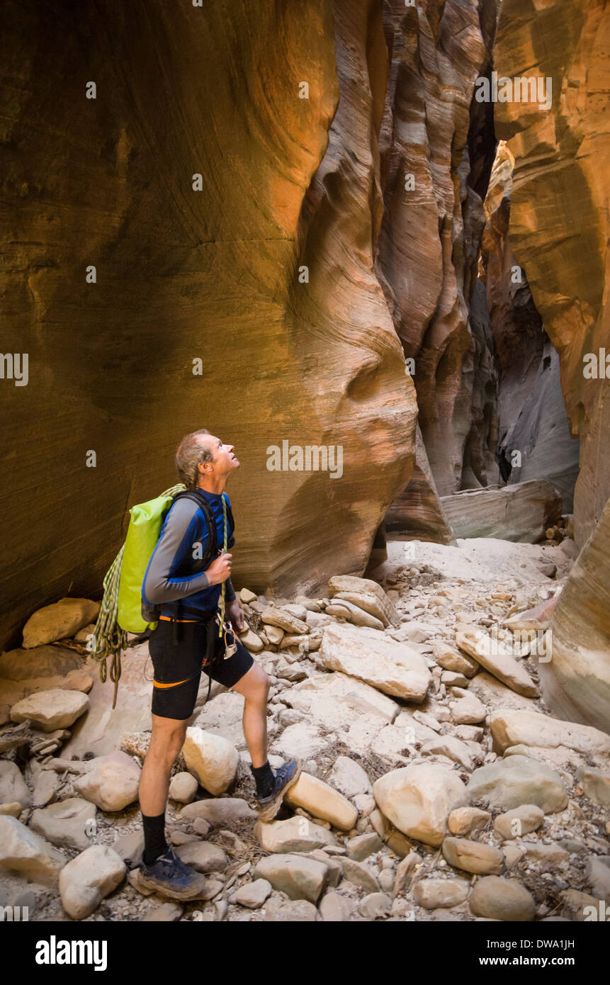 L'uomo escursionismo, Echo Canyon Zion National Park, Utah, Stati Uniti d'America Foto Stock