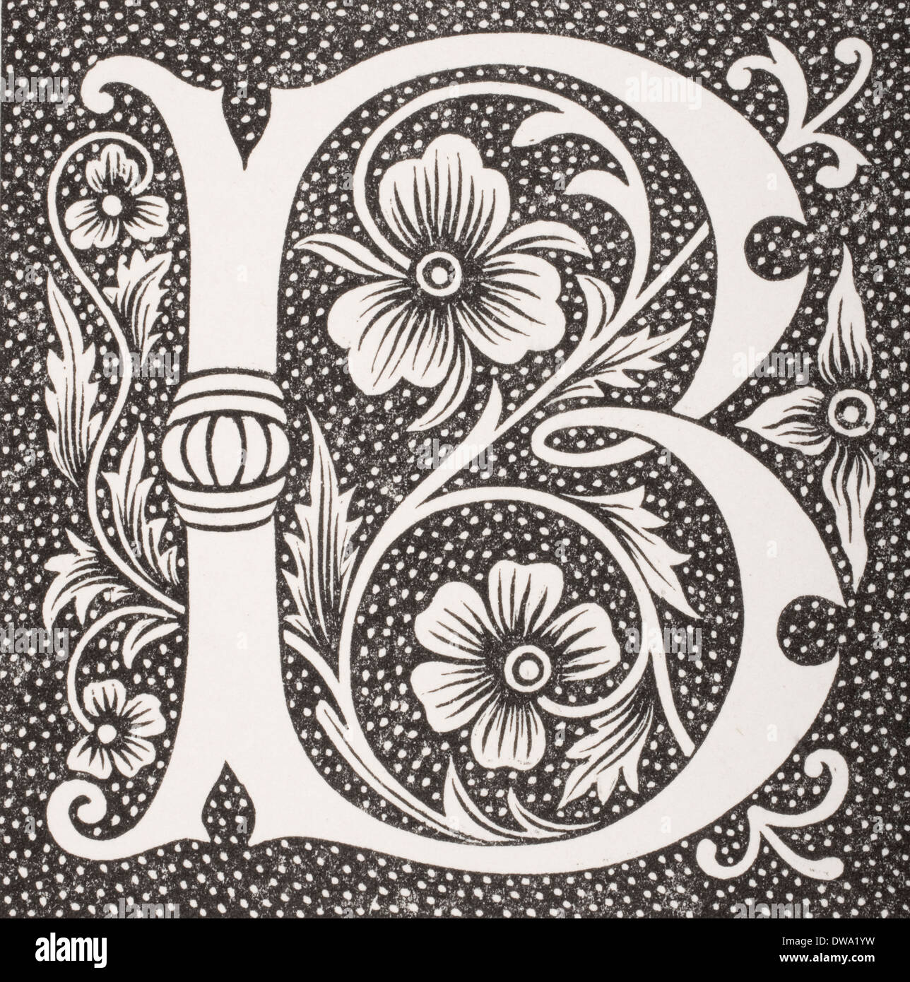 Capitale decorativa lettera B Foto Stock