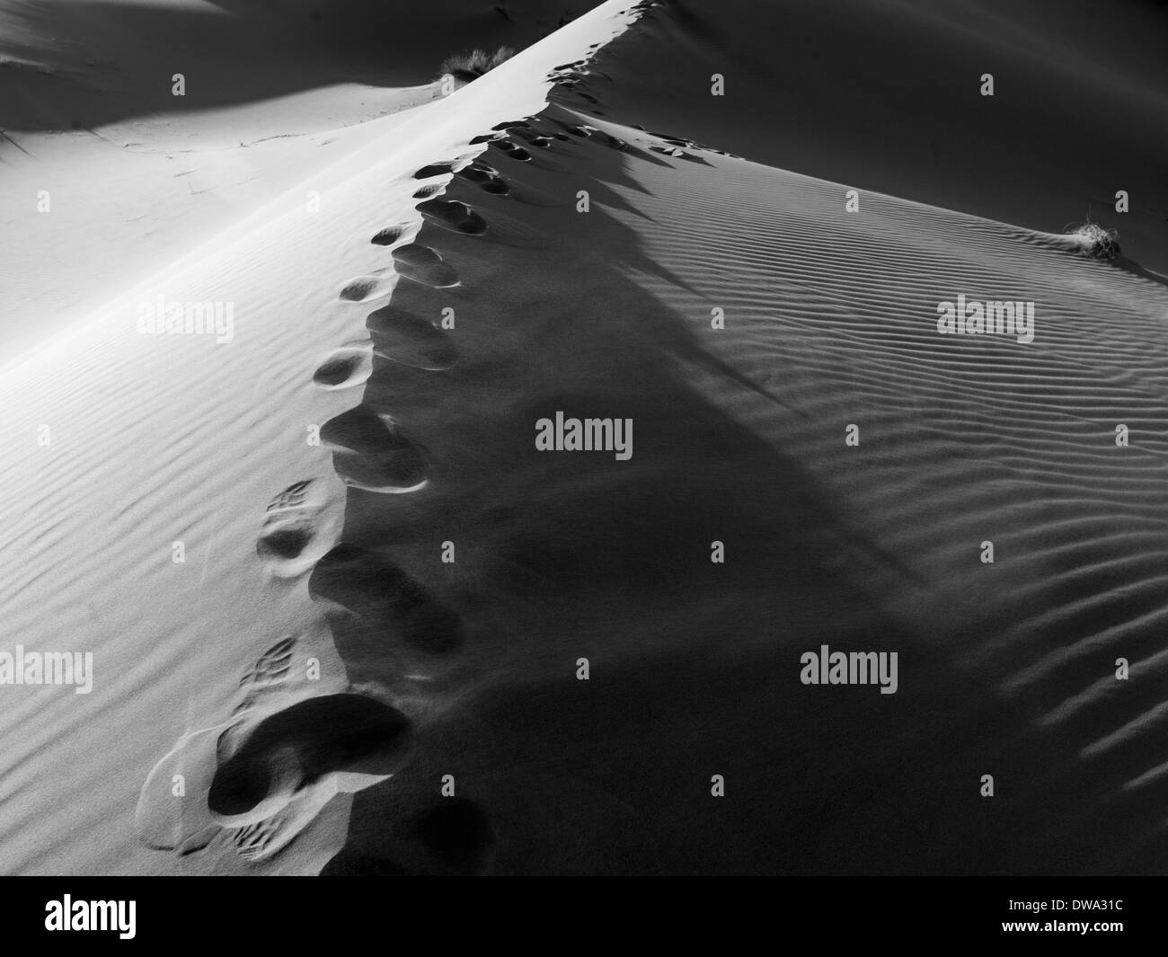 Erg Chegaga dune nel deserto del Sahara, Marocco Foto Stock